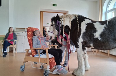 Terapeutický kůň