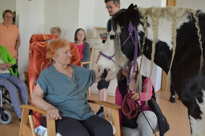 Terapeutický kůň